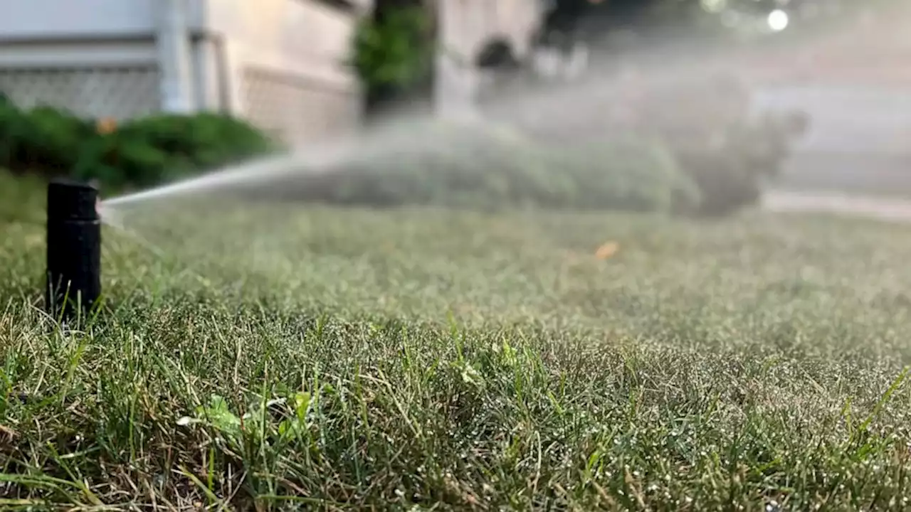 These are dry, stressful days for lawns. Some tips to help.