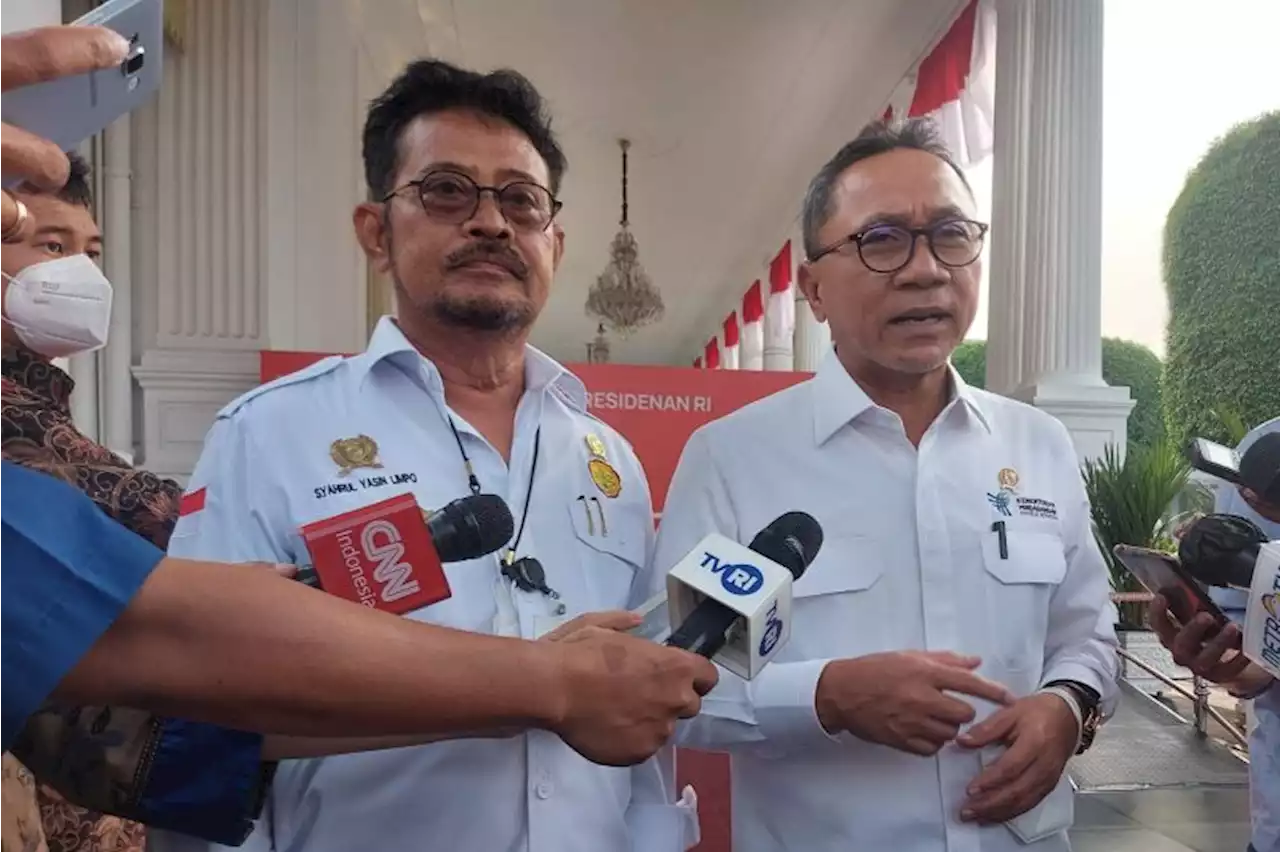 Mendag sebut afkir dini dan program bansos penyebab harga telur naik