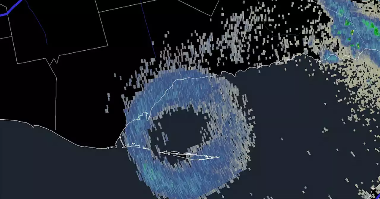 Spectacular Ontario 'bird doughnut' pops up on U.S. weather radar