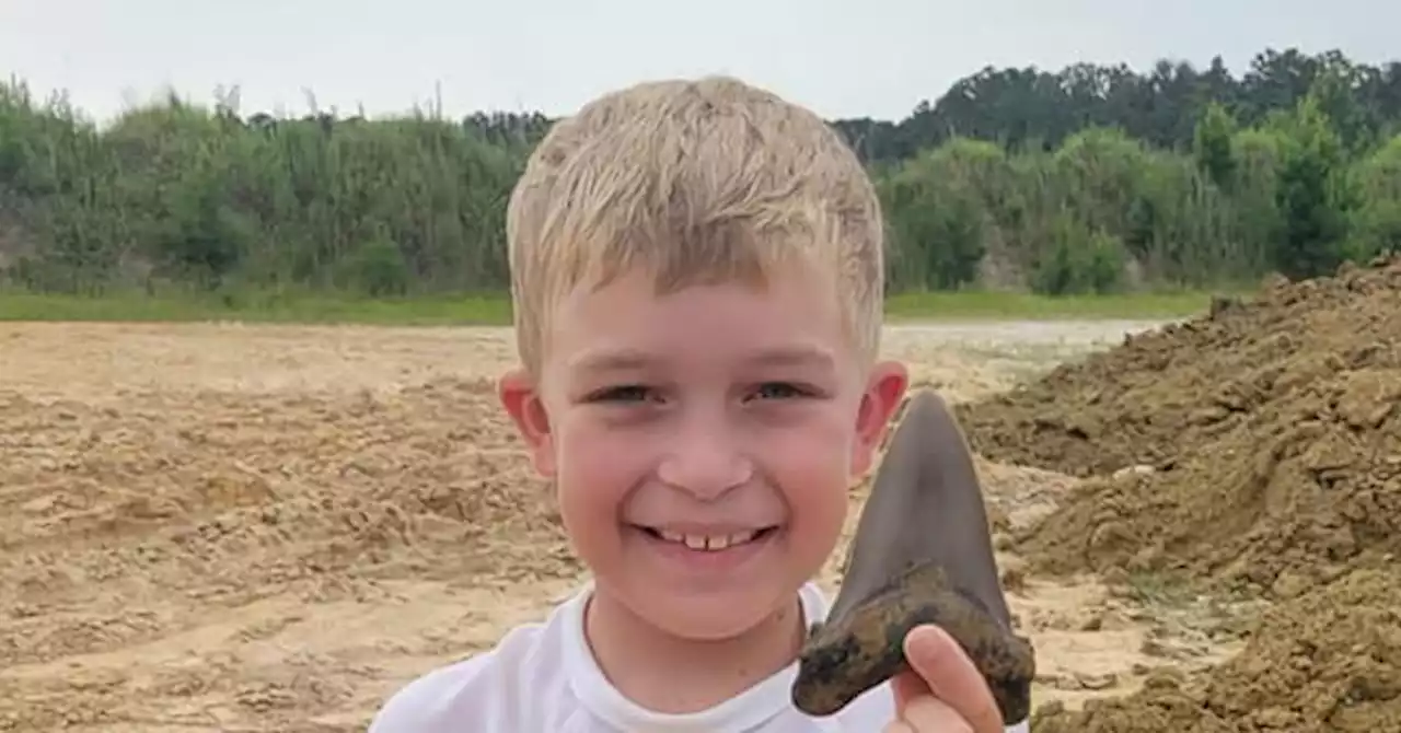 8-Year-Old Finds Huge Prehistoric Shark Tooth on South Carolina Beach