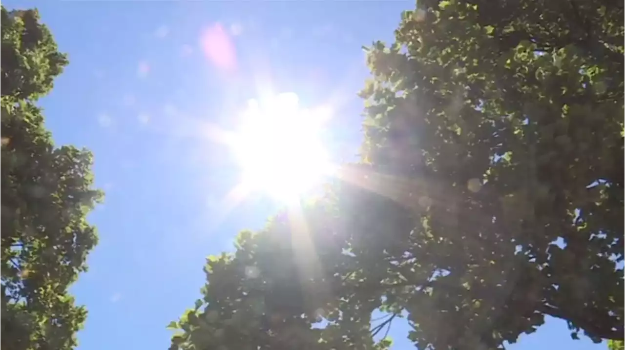 New heat warning issued for inland Vancouver Island with highs of up to 34 expected