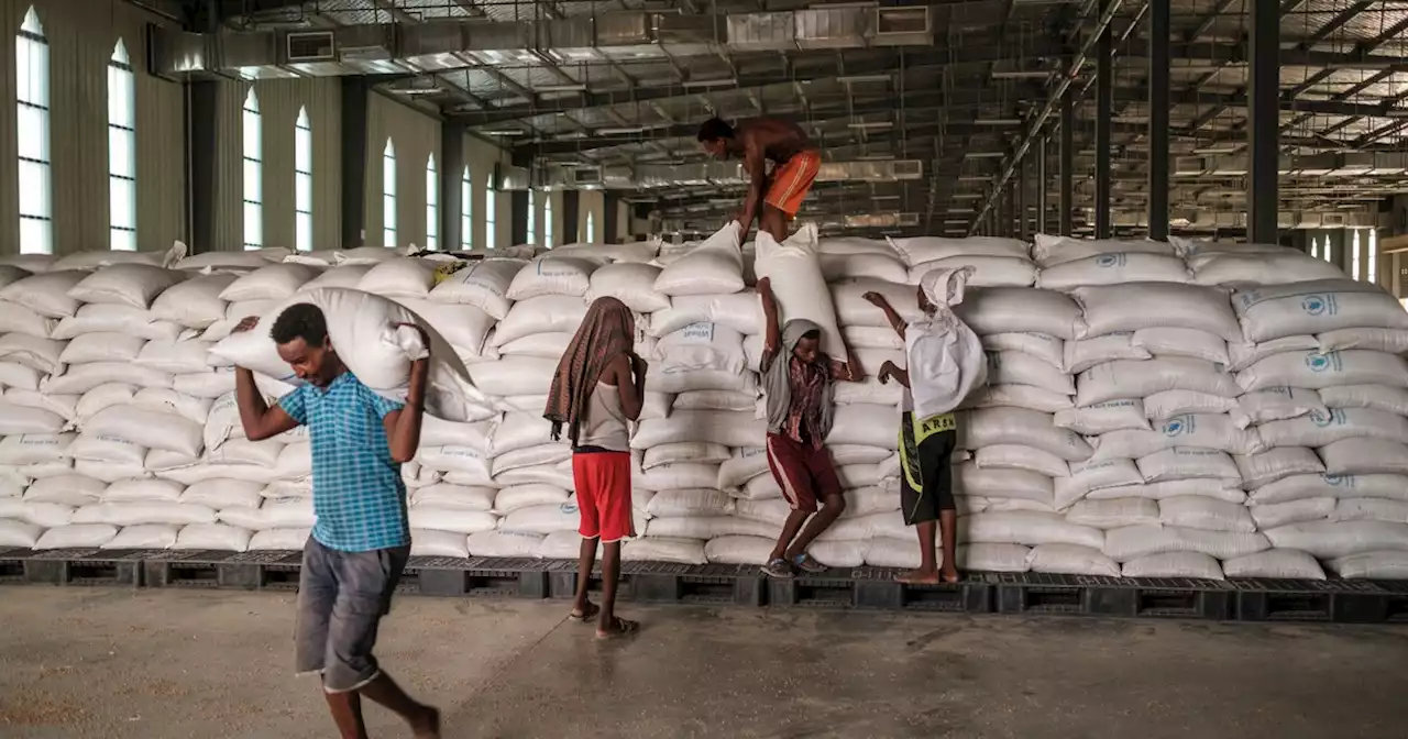 'Disaster Capitalism at Its Worst': Profits of Grain Giants Spark Global Criticism