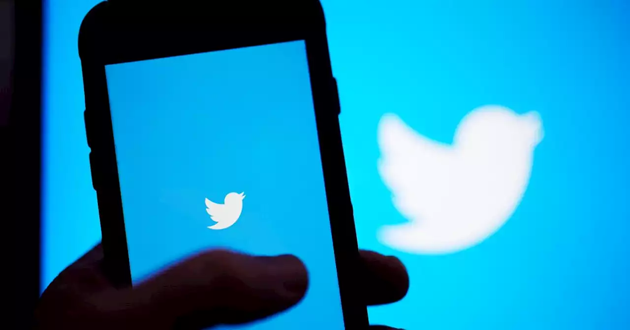 SEC Questions Twitter On How It Counts Fake Accounts