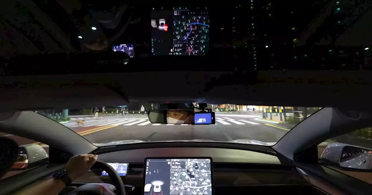 Elon Musk tells Tesla owner not to complain about buggy driving system