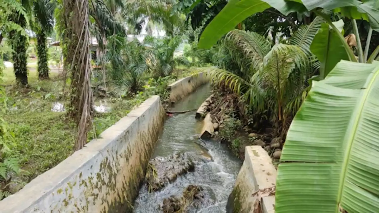 Berdampak Banjir Genangi Rumah Warga, Dinas PUPR Binjai Sudah Survei Dinding Parit Jebol besar