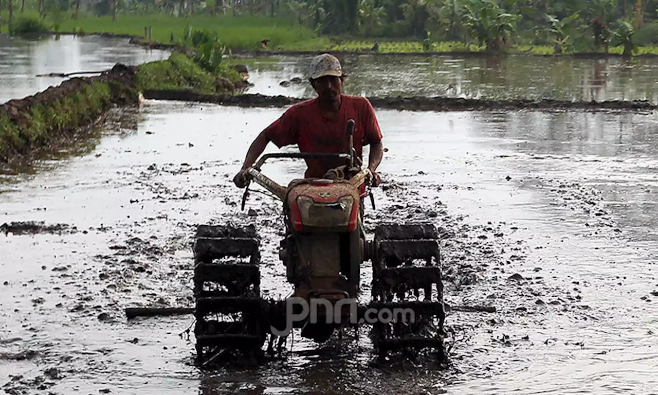 Program Makmur PKT Dorong Pemberdayaan Petani