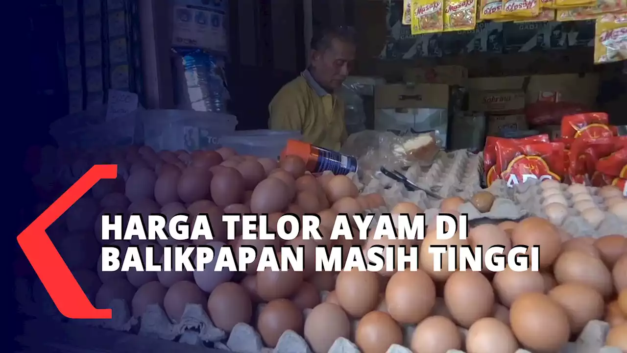 Harga Telor Ayam Tinggi, Pedagang Keluhkan Kurangnya Minat Pembeli