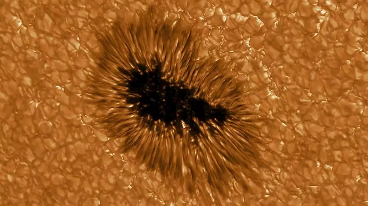 A planet-size sunspot grew 10-fold in the last 2 days, and it's aimed directly at Earth