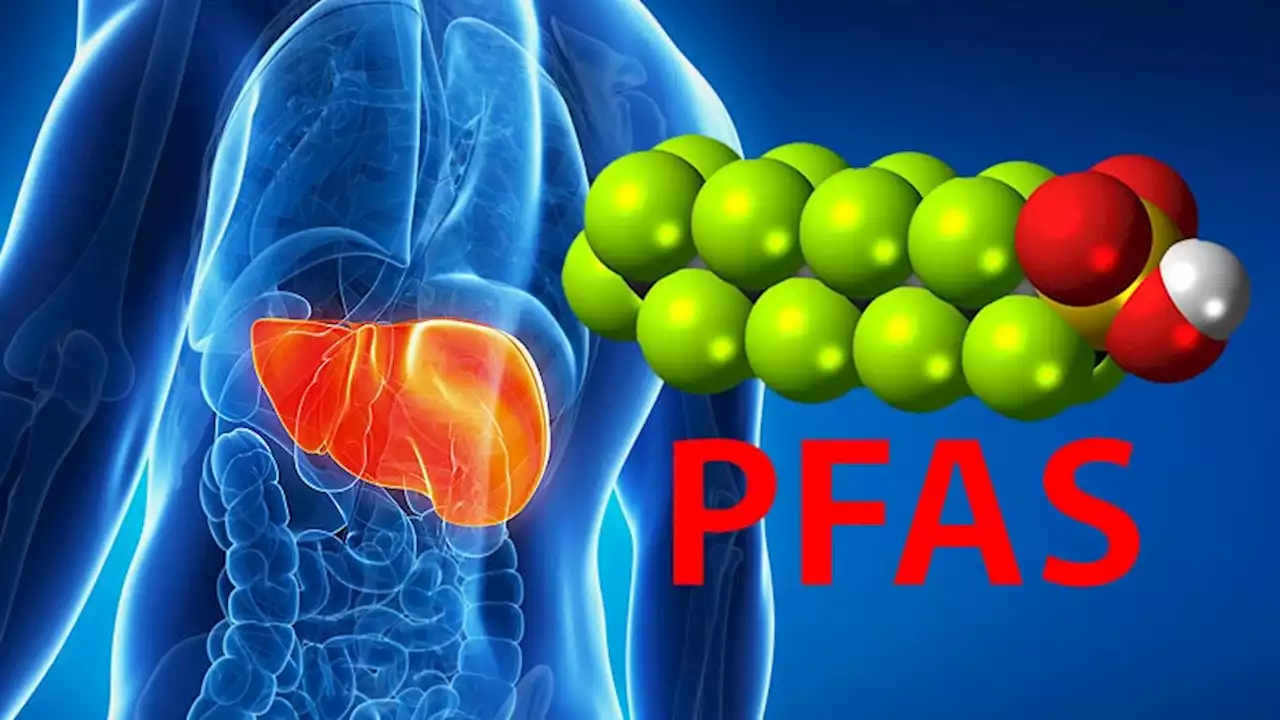 Pervasive 'Forever Chemical' Linked to Liver Cancer