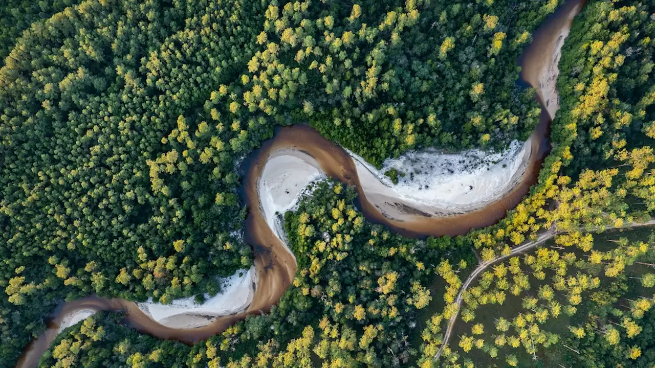 The quest to protect the Florida wildlife corridor gains ground