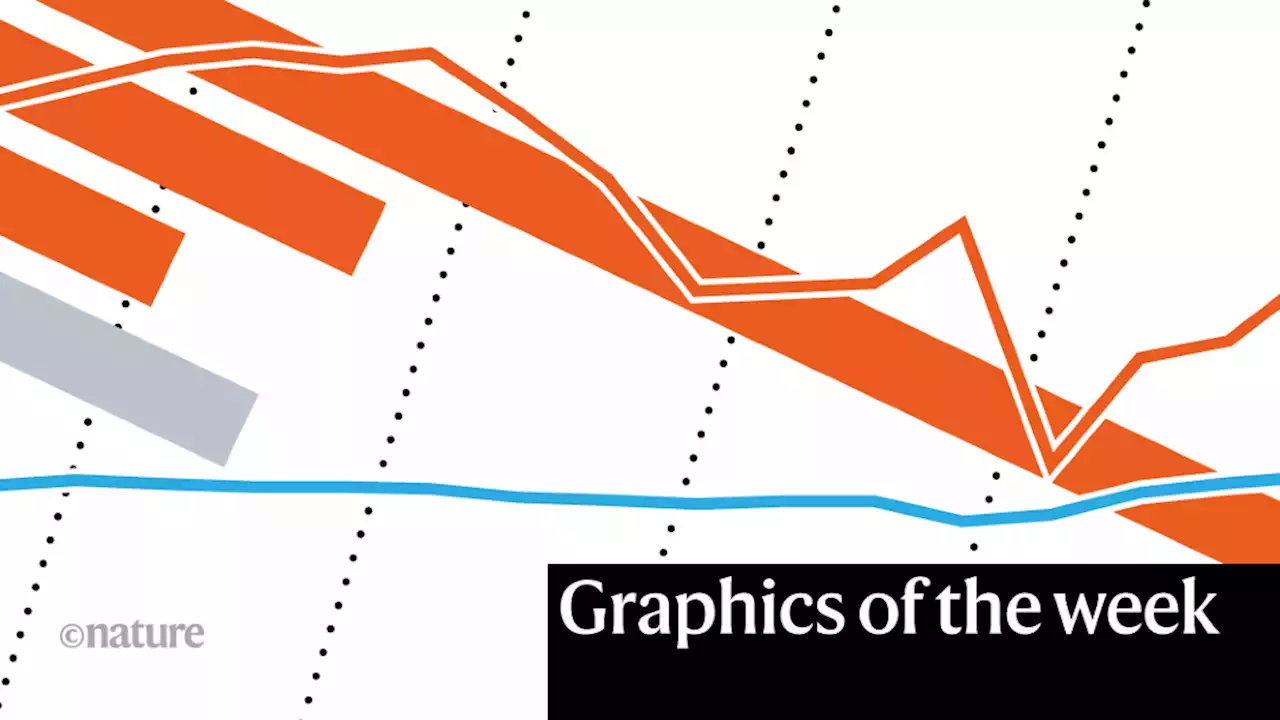 Defence research, charm quark — the week in infographics