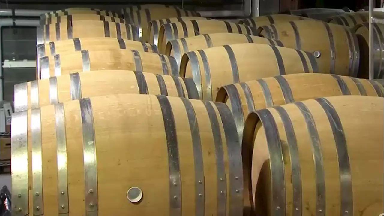 Supply Chain Issues Hit North Bay Winemakers