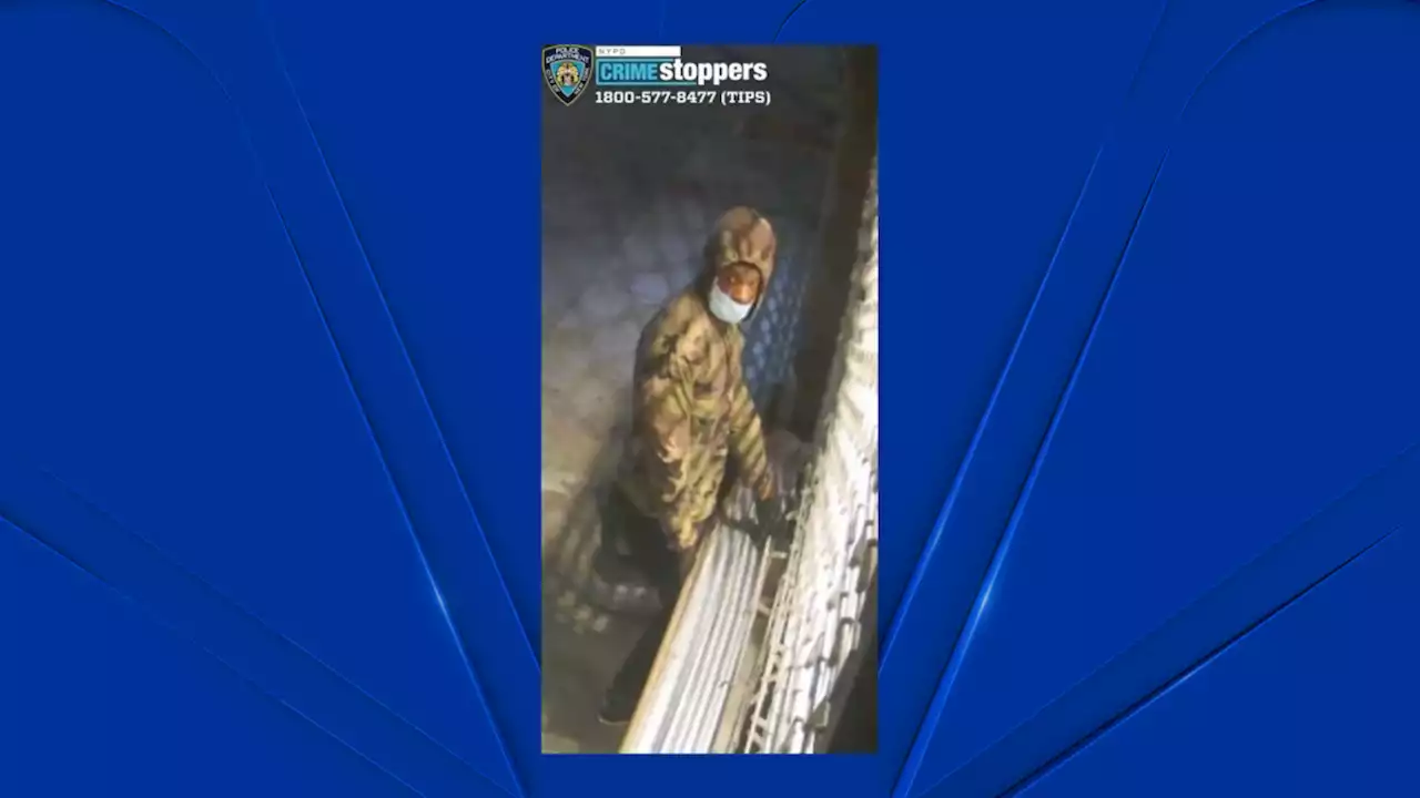 Police Search for Suspect Who Allegedly Stole $200K in Greenwich Village Jewelry Heist