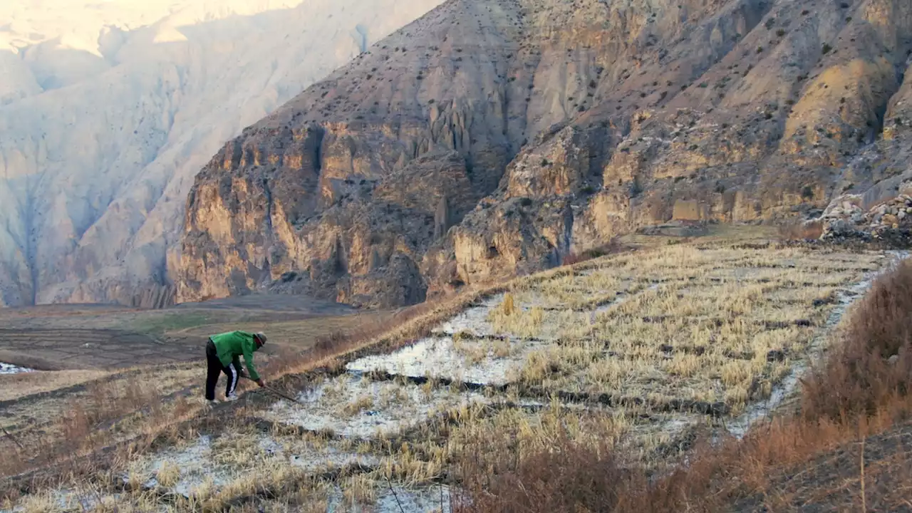 What Happens to a Family “When Glaciers Go”