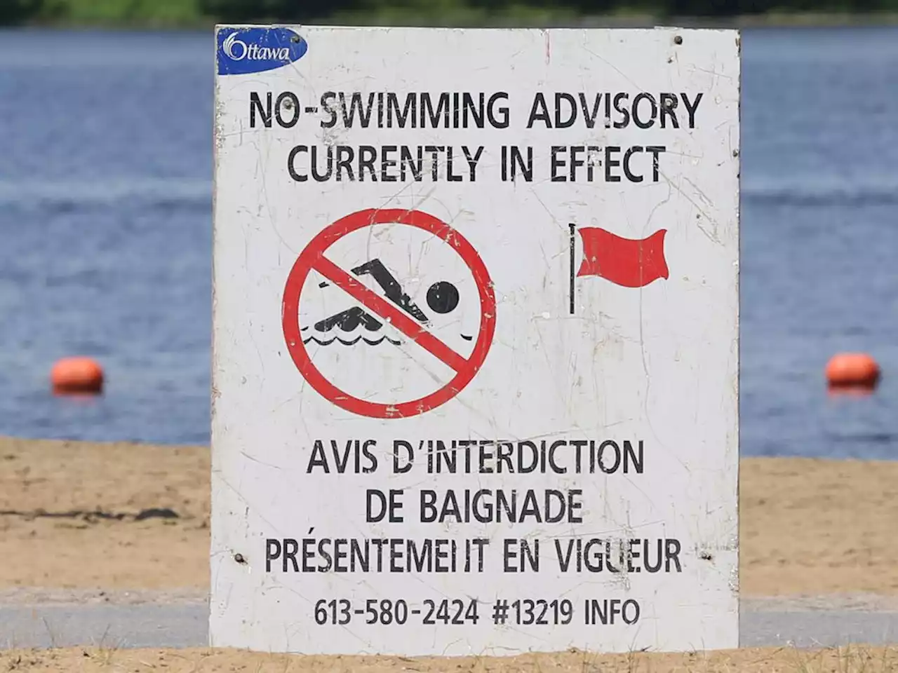 Swimming 'not recommended' at Britannia, Mooney’s Bay, Petrie Island East Bay