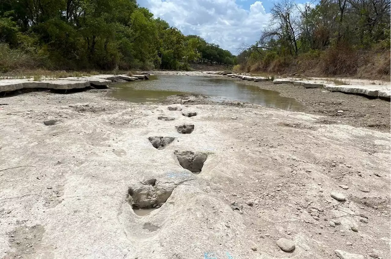 Drought uncovers dinosaur tracks in US park