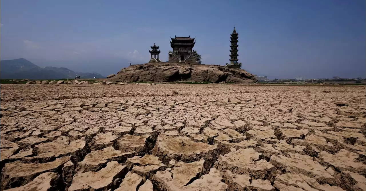 China's shrinking 'kidney' lake lays bare growing climate challenges