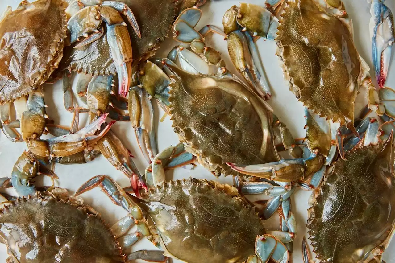 Learn to Clean a Soft Shell Crab with the Queen of Louisiana Seafood