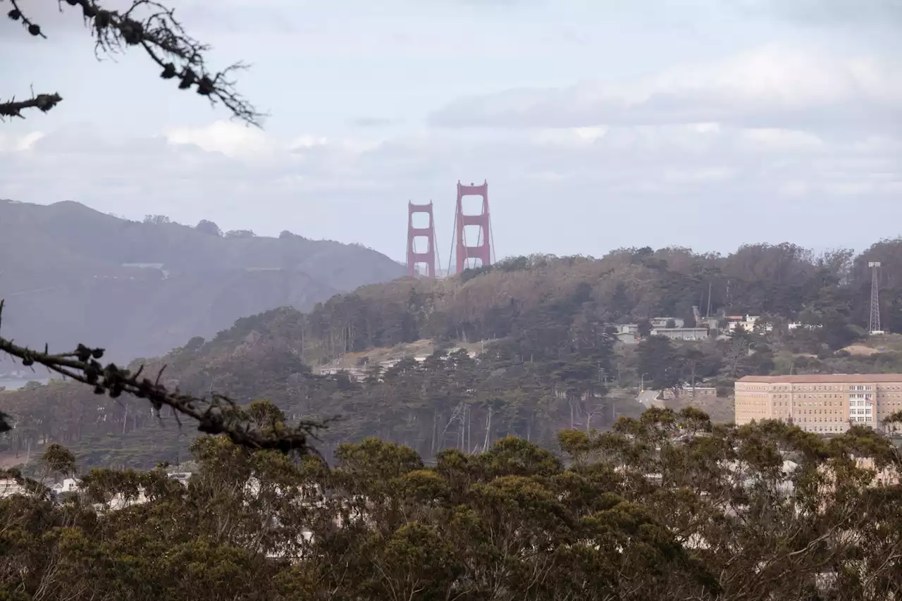 Video shows Marin cop leaving homeless person in SF