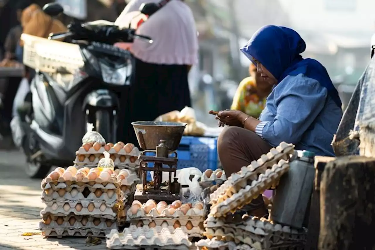 Diprotes DPR Harga Telur Mahal Rp32.000 per Kg, Mendag Zulhas: Waktu Saya Jadi Menteri Sudah Segitu