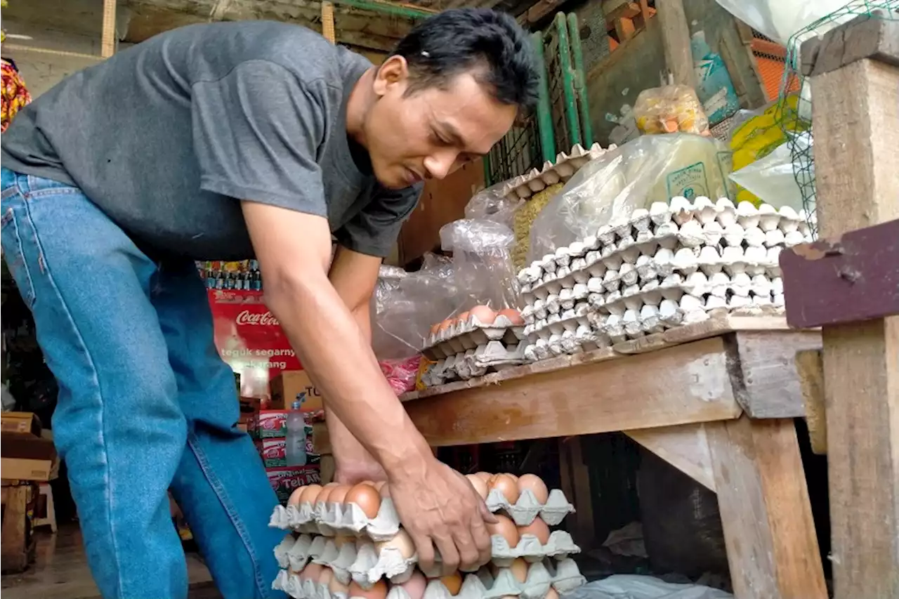 Meroket, Harga Telur Ayam di Indramayu Capai Rp32.000 Per Kilogram