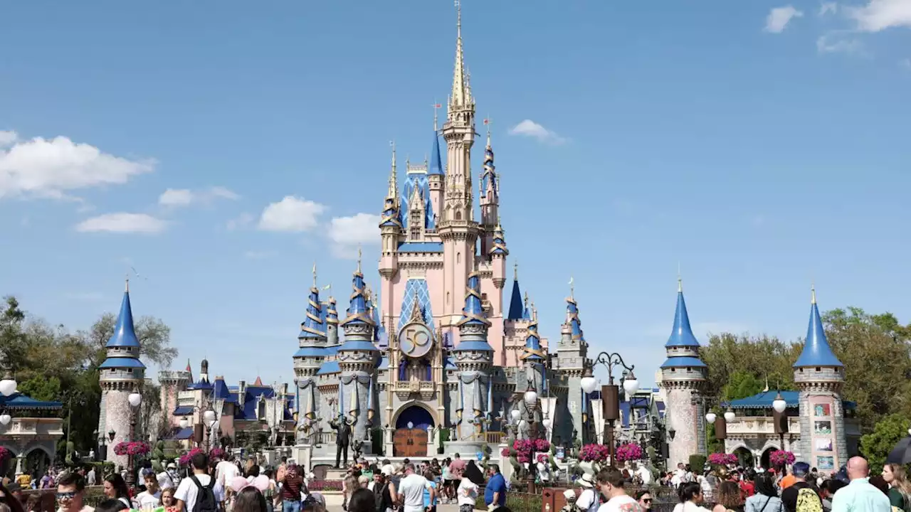 Is Disney World Removing Cinderella Castle?