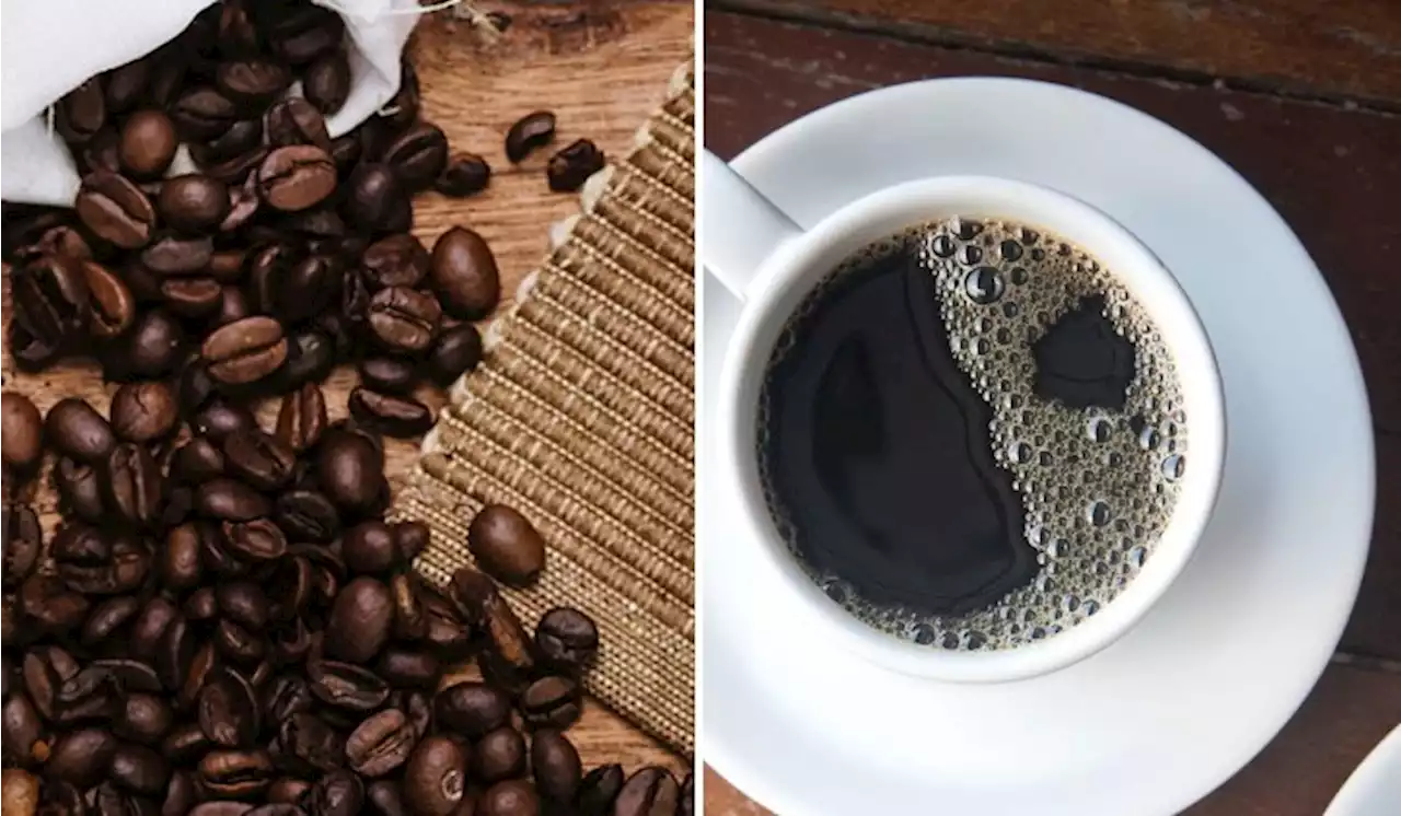 Coffee Prices May Get A Lot More Expensive As Brazil's Coffee Crop Yield Drops | TRP
