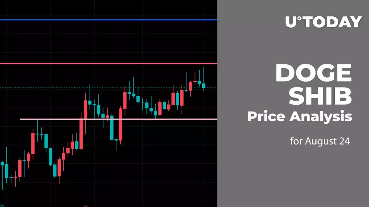 DOGE and SHIB Price Analysis for August 24