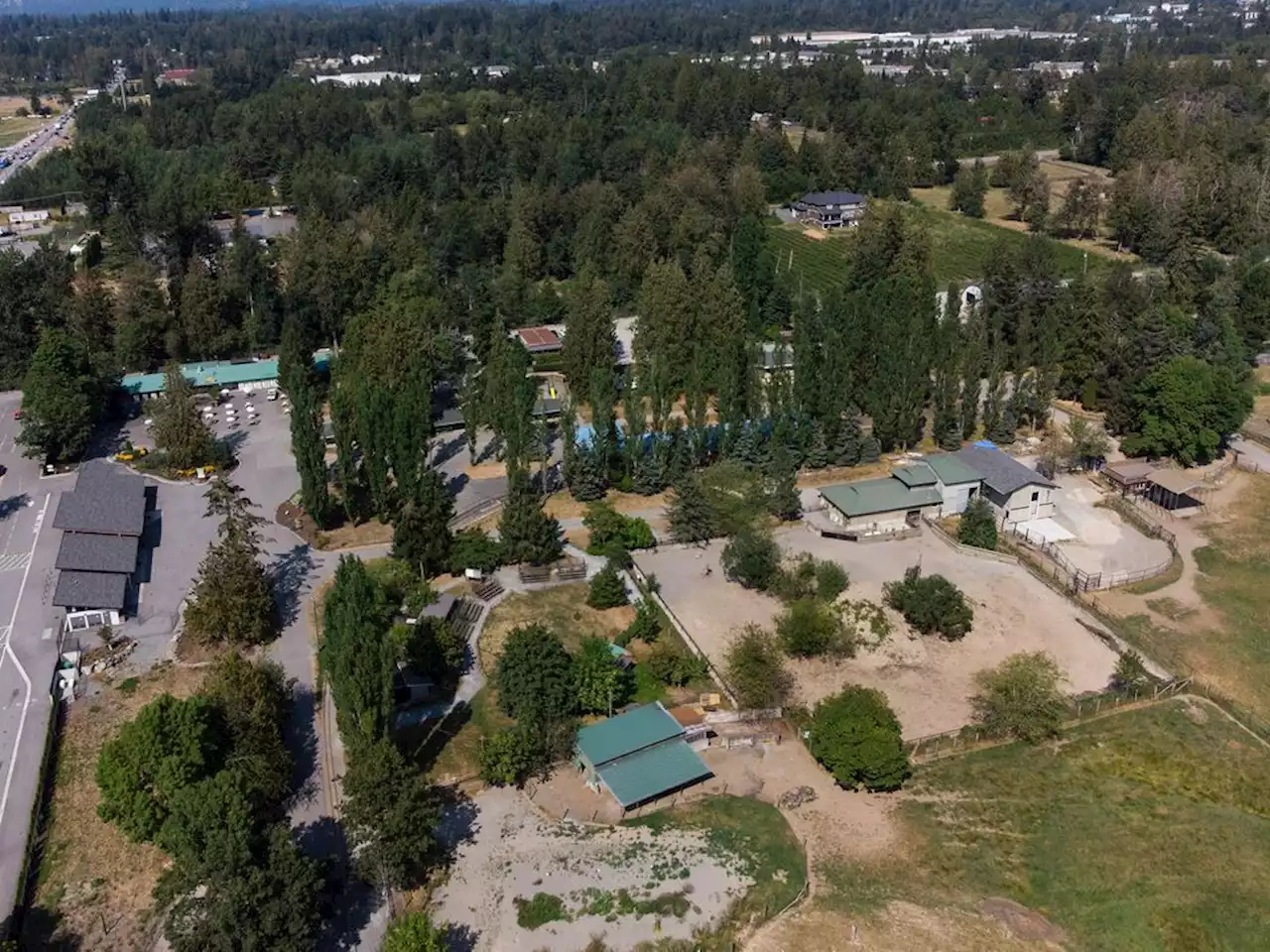 CFB Esquimalt used drones to search for escaped Greater Vancouver Zoo wolves