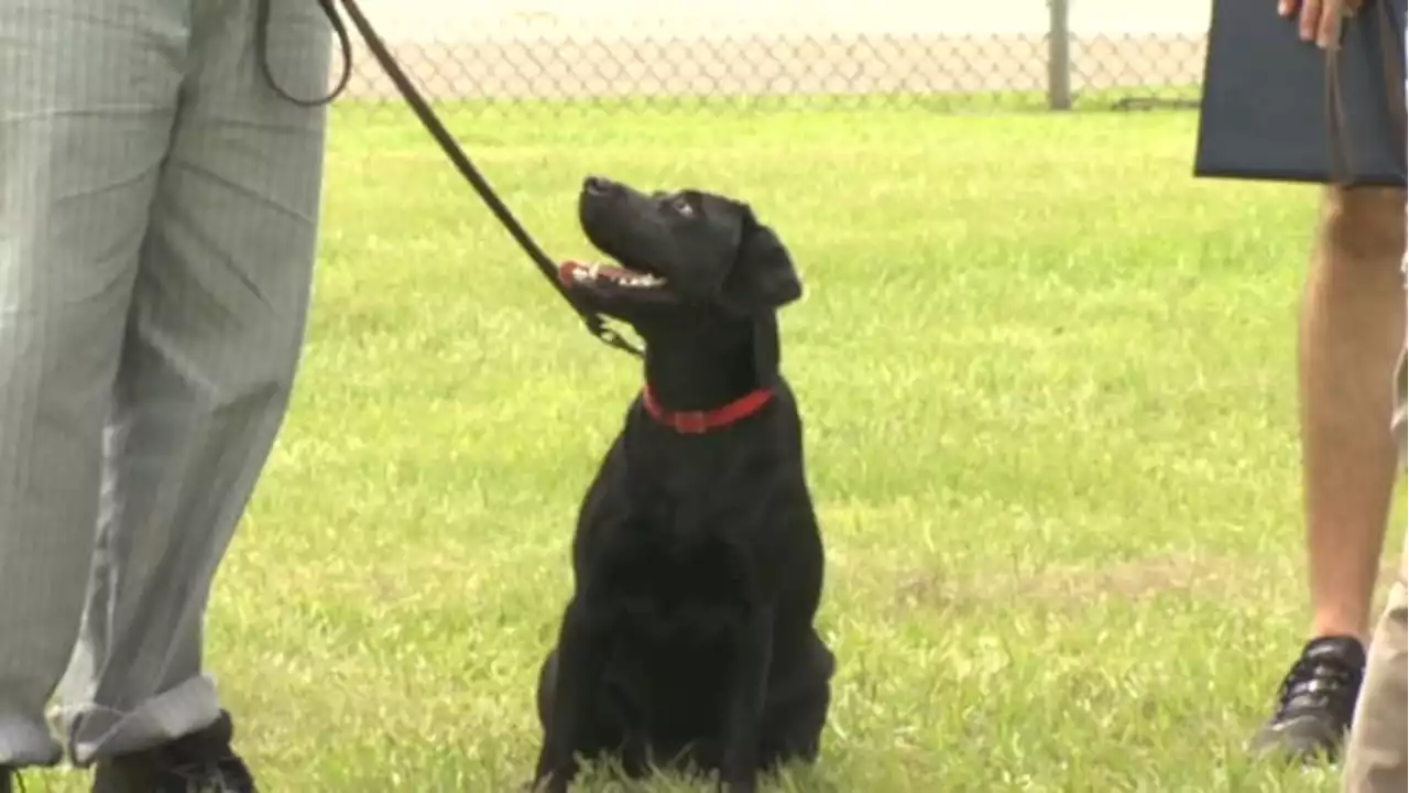 K9s For Warriors celebrates 3rd graduating class of Paws For Change program