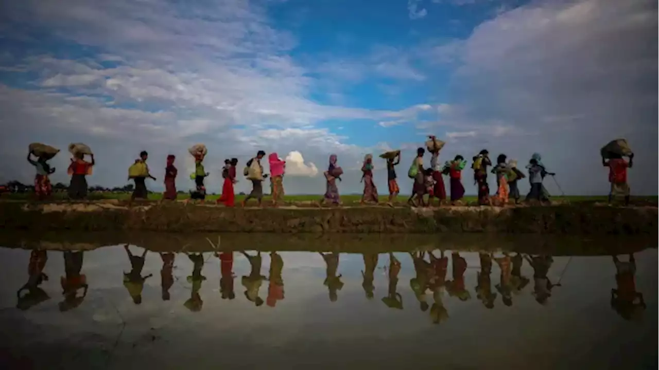 Canada's Rohingya fear world has forgotten refugee crisis 5 years after genocide in Myanmar | CBC News