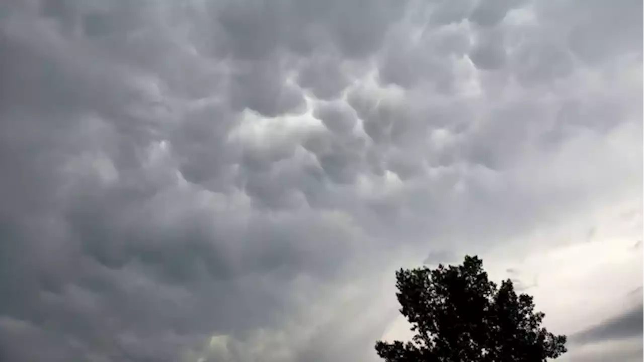 Severe thunderstorm warning in effect for Halton, Peel | CBC News