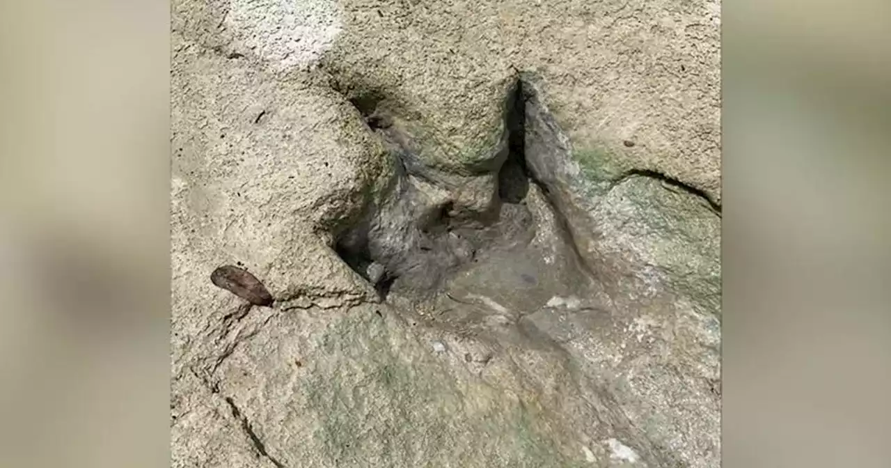 Drought uncovers new dinosaur tracks in Glen Rose