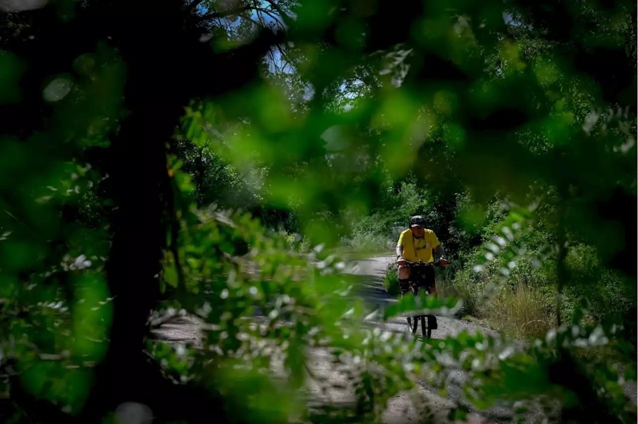 Denver health officials investigate mosquito surge along High Line Canal