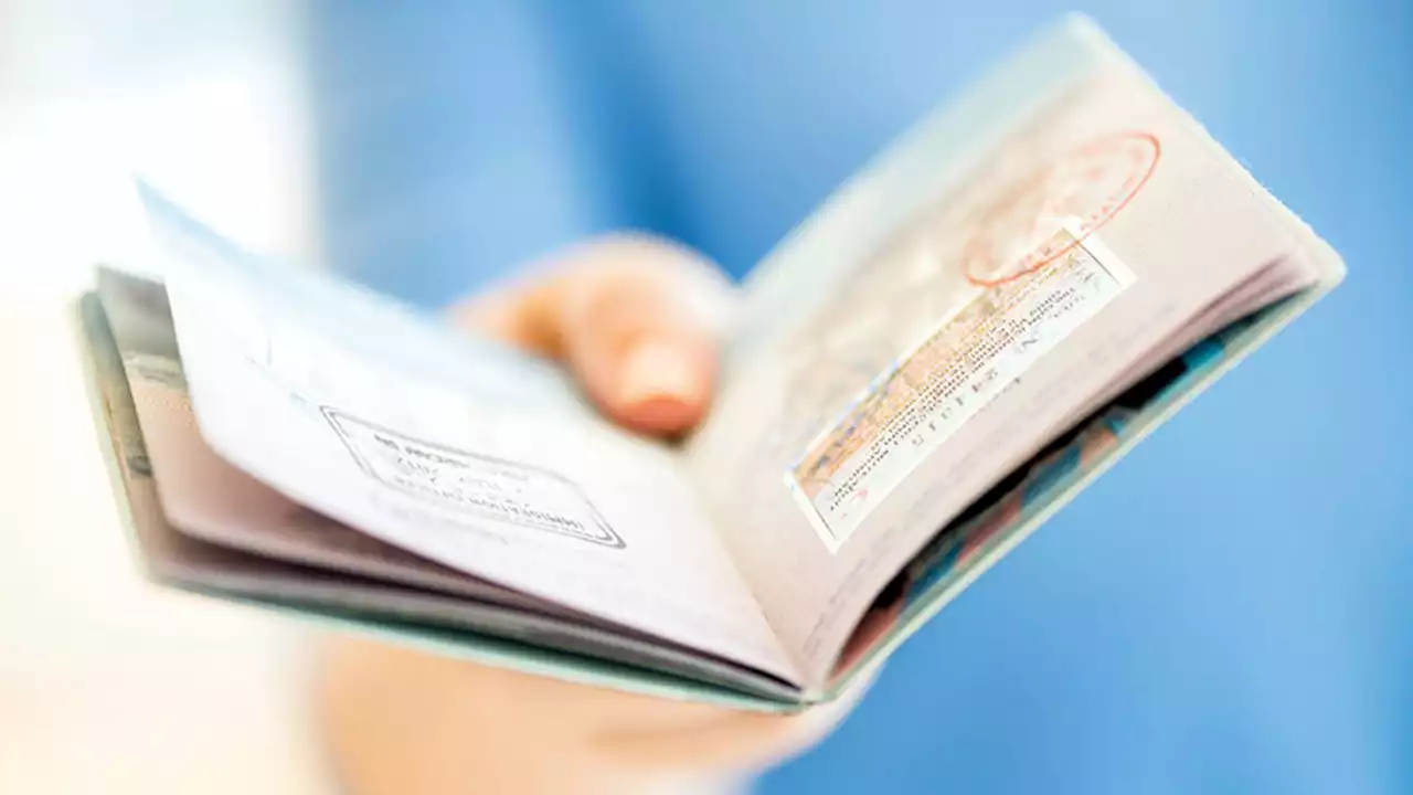 3 فئات من الأجانب مشمولون بـ «الإقامة الخضراء»