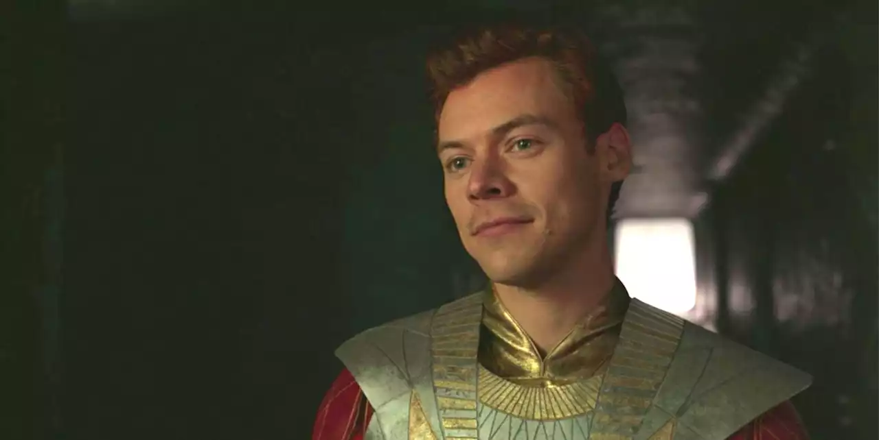 Harry Styles Addresses MCU Future Following 'Eternals' Cameo