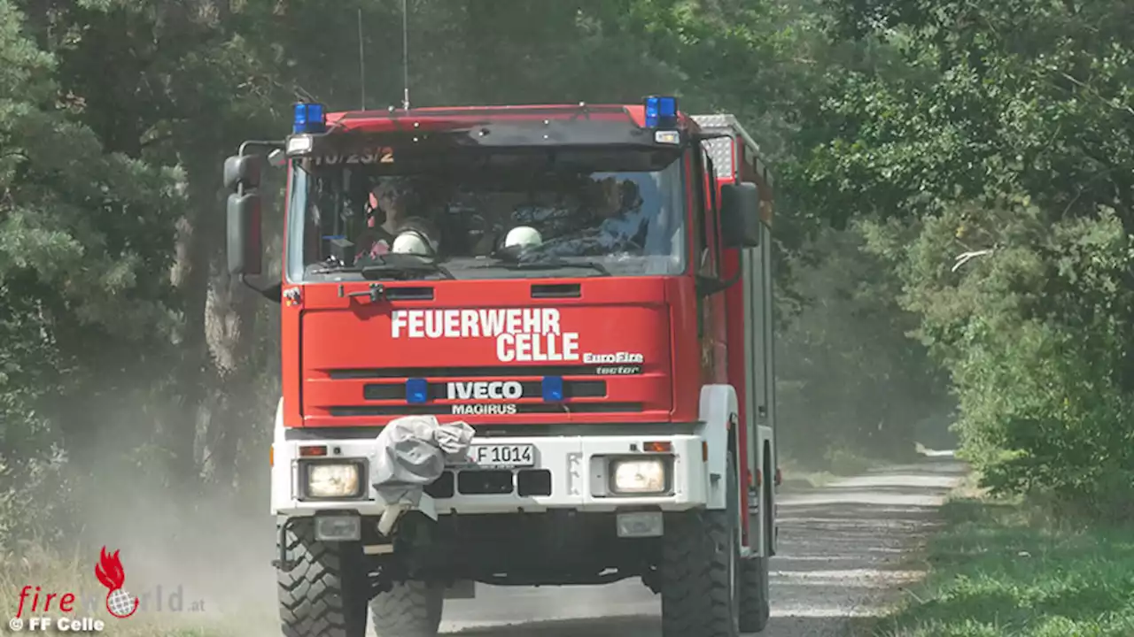 D: Waldbrand in Altencelle → rund 5.000 m² Unterholz brennen