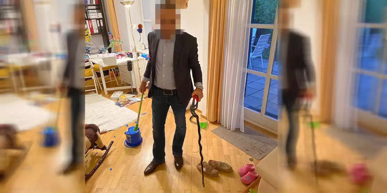 Pizza-Chef tötet aggressive Schlange in Wiener Kinderzimmer