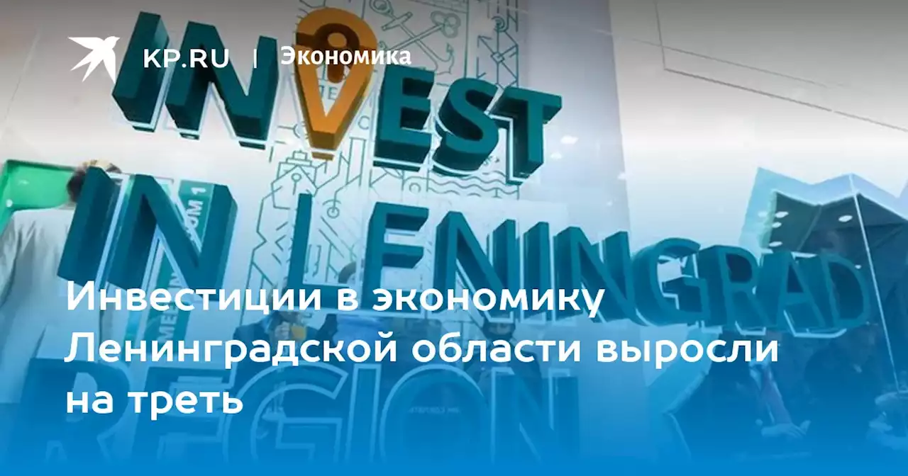Инвестиции в экономику Ленинградской области выросли на треть