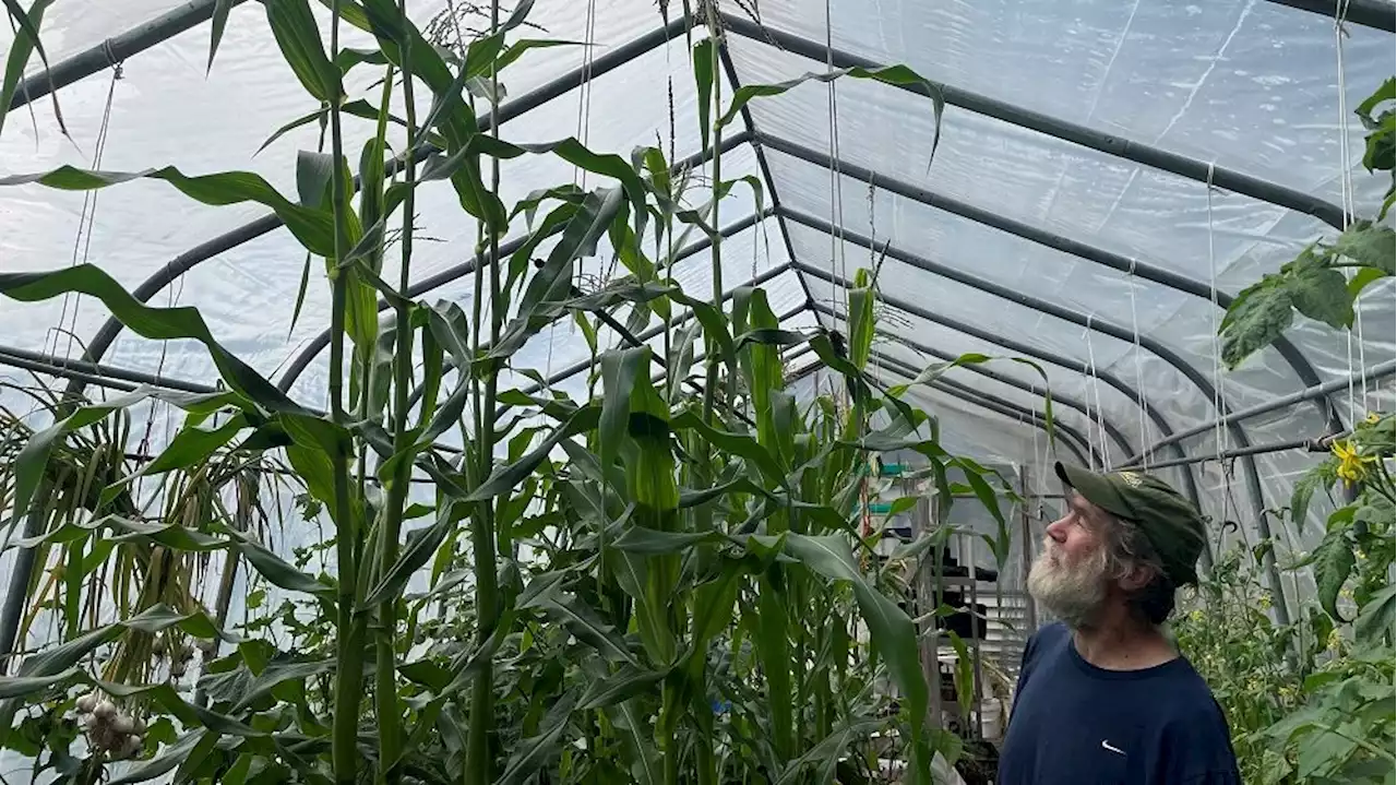 Garden Talk: What grows well in Juneau greenhouses