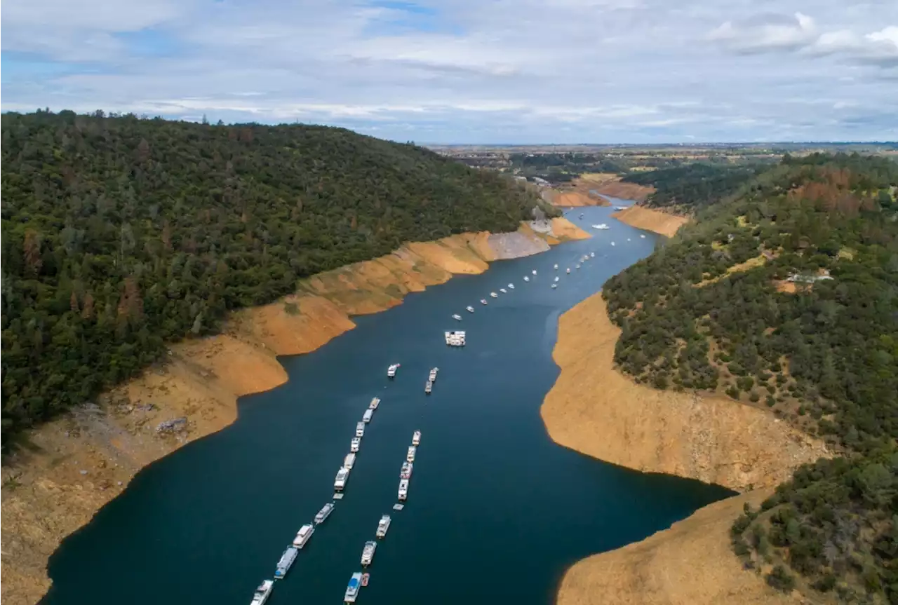 California lawmakers renew call for Feds to probe ‘drought profiteering’