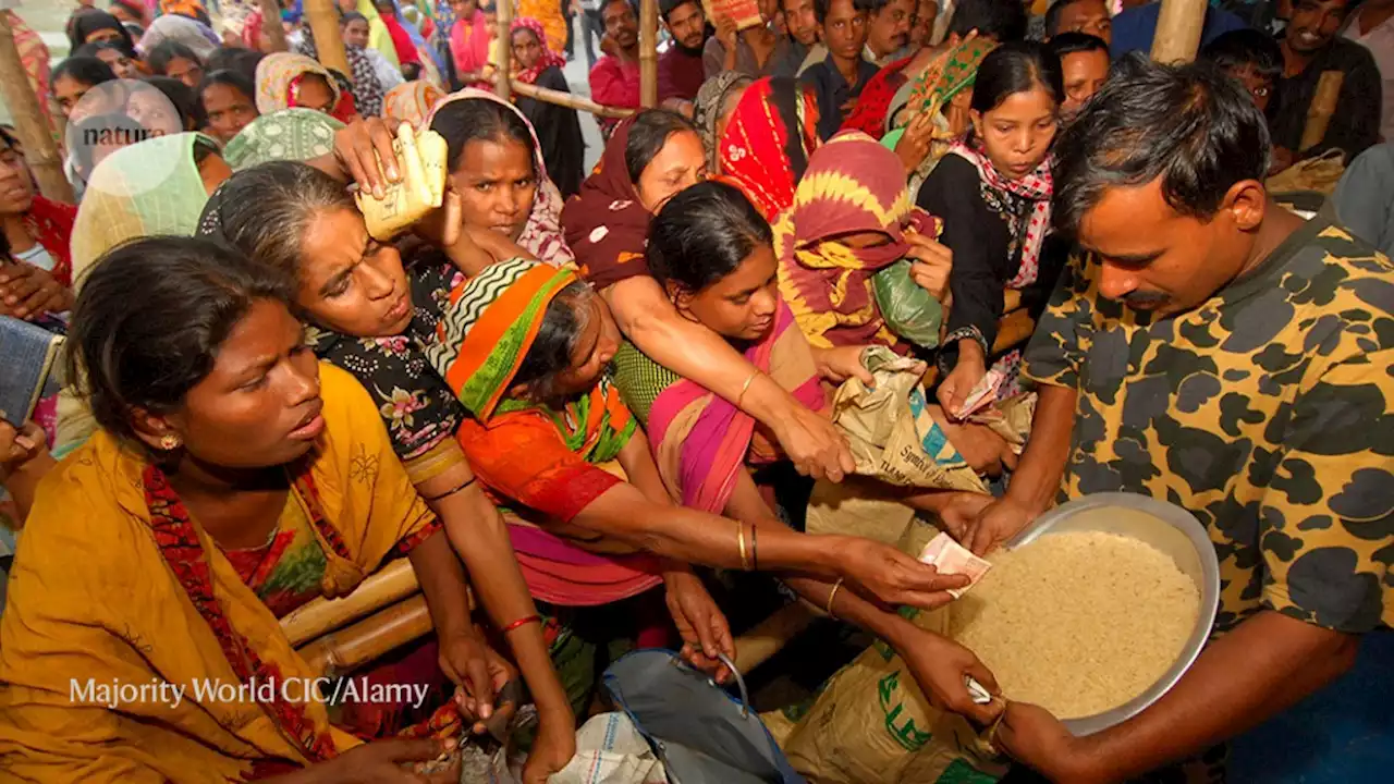 To ease the world food crisis, focus resources on women and girls