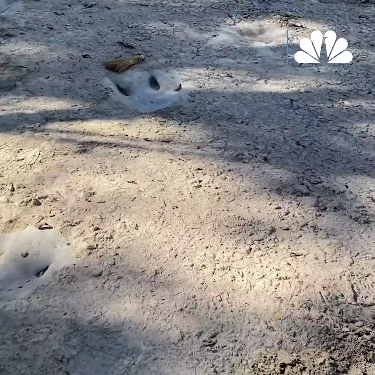 Drought Conditions Reveal Dinosaur Tracks Along North Texas River