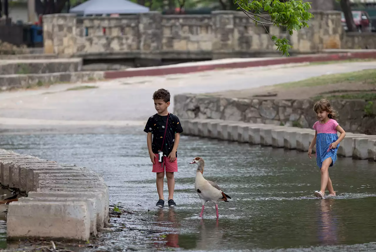 Mosquito pool in San Antonio tests positive for West Nile virus