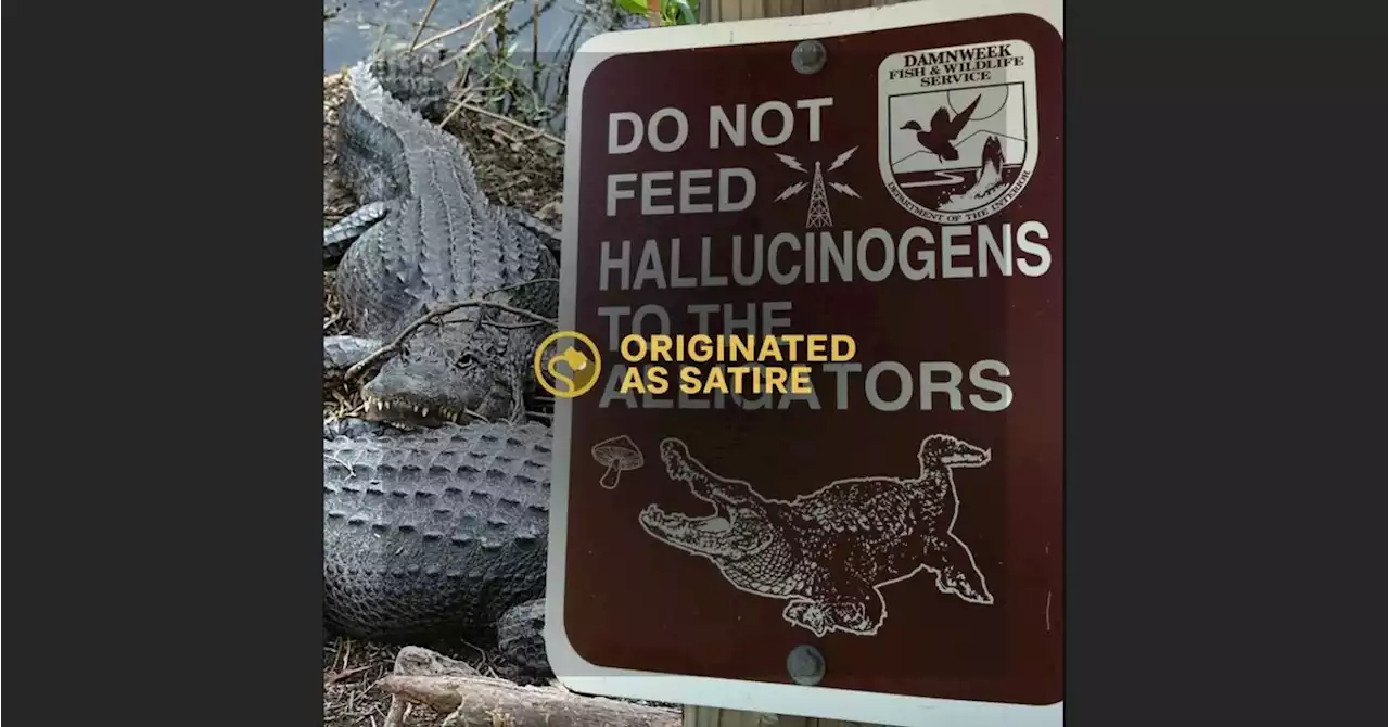 Is This a Real 'Don't Feed Hallucinogens to Alligators' Sign?