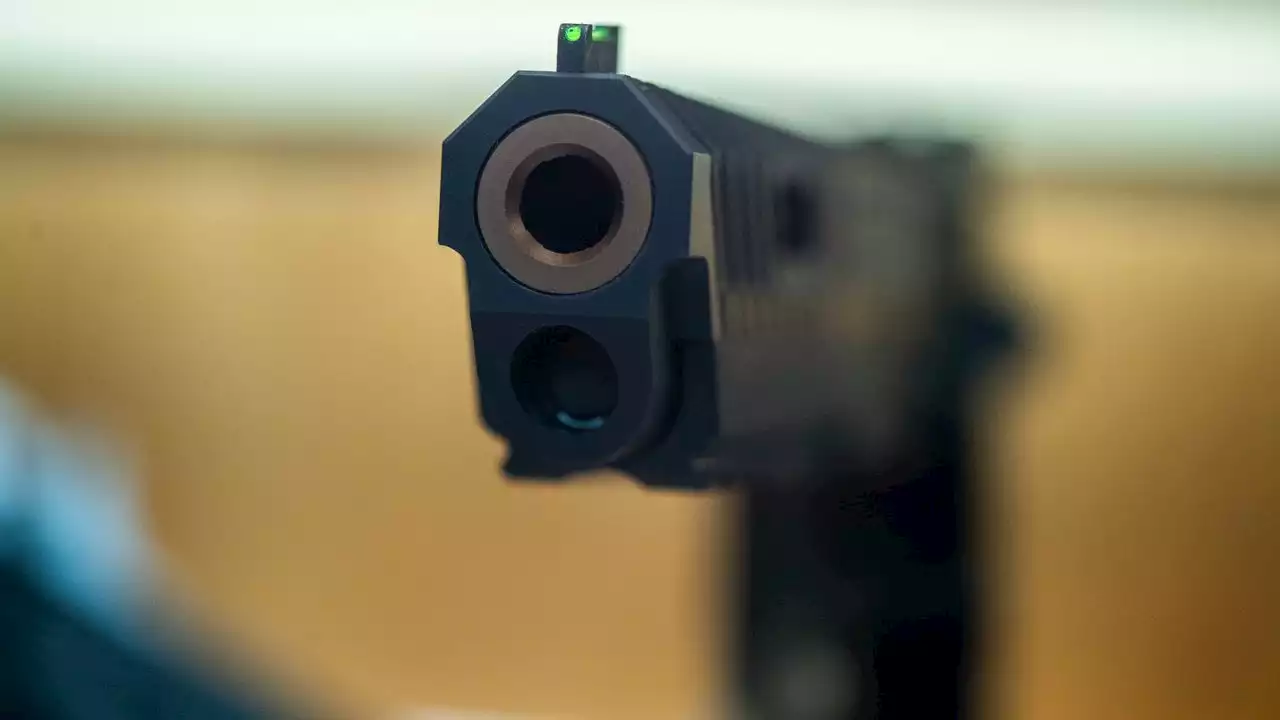 Grant to help prevent gun violence in domestic abuse cases