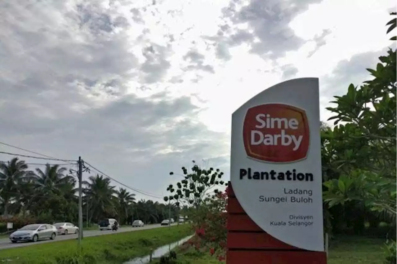 Mixed views on Sime Darby Plantation 1H results