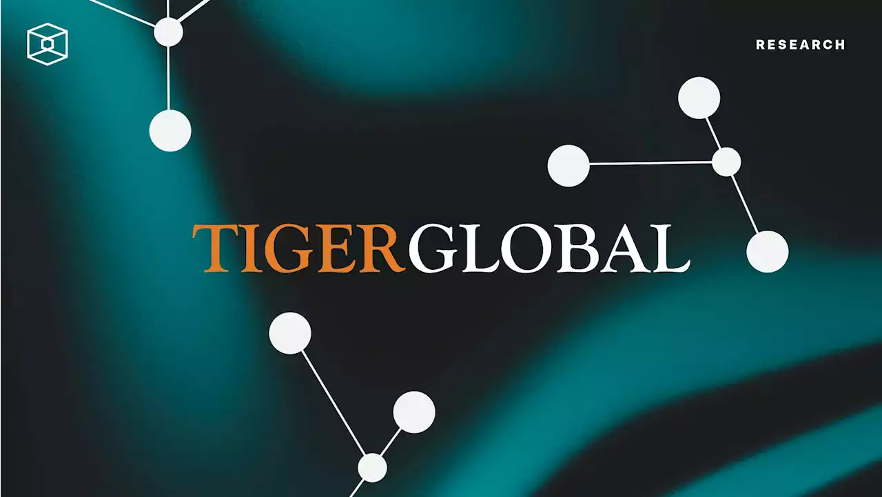 Analysis of Tiger Global's 13-F Filing