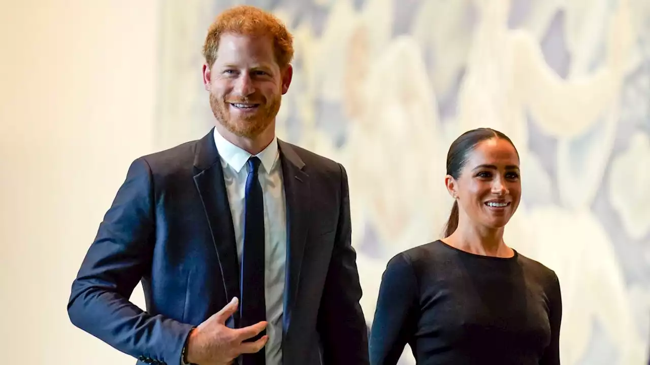 Duchess Meghan, Prince Harry adopt beagle rescued from animal testing facility