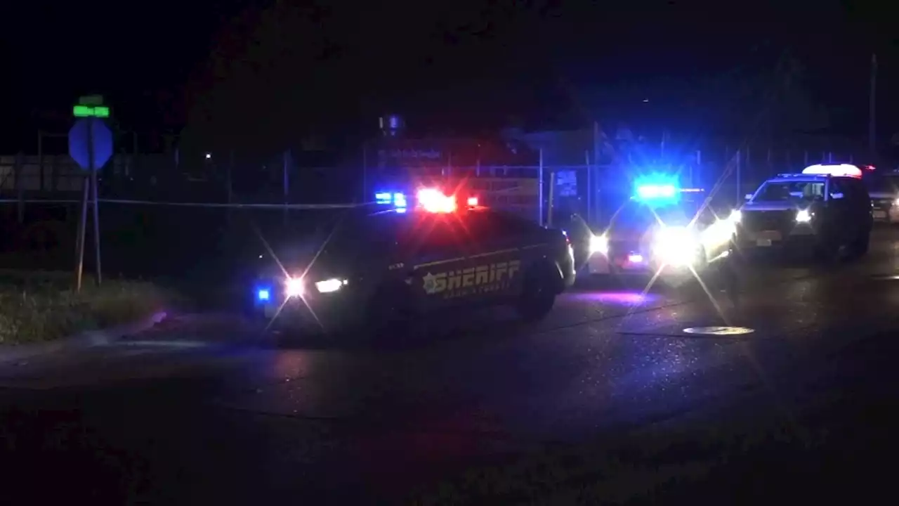 Man killed in 'aggressive' dog attack in Channelview, deputies say